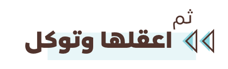 ثم أعقلها وتوكل - مجموعة عقال - مجموعة عقال ثم أعقلها وتوكل